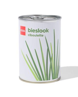 HEMA Groeiblik bieslook