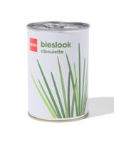 HEMA Groeiblik bieslook - thumbnail
