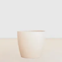 Oslo Wit - P12 - Bio pot - thumbnail