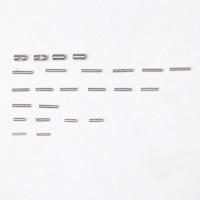 FMS - 1:6 Pin Lock Set (FMS-C1022) - thumbnail