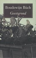 Geestgrond - Boudewijn Büch - ebook - thumbnail