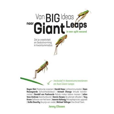 Van Big Ideas naar Giant Leaps. In een split second. (Paperback)