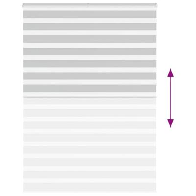 VidaXL Zebra rolgordijn 165x230 cm stofbreedte 160,9 cm lichtgrijs