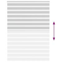 VidaXL Zebra rolgordijn 165x230 cm stofbreedte 160,9 cm lichtgrijs - thumbnail