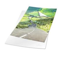 Durable Zichttassen STANDARD rPP DIN A4 Kringloop kunststof, Kunststof 0.10 mm Transparant 247819 100 stuk(s) - thumbnail