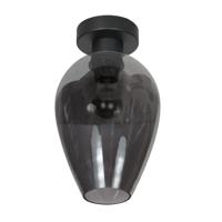 Steinhauer PlafondlampBloeba smoke glas Ø 22,5cm - 4371ZW - thumbnail