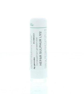Homeoden Heel Hepar sulphur LM2 6 Gram