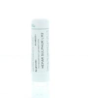Homeoden Heel Hepar sulphur LM2 6 Gram - thumbnail