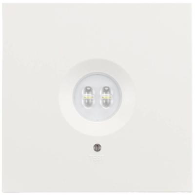 H1 Solutions 1045 Veiligheidsverlichting Plafondopbouwmontage H1 Solutions 1045 Veiligheidsverlichting Plafondopbouwmontage