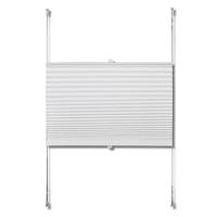 VidaXL Plisséjaloezie 60x100 cm wit - thumbnail