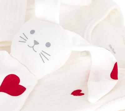 Babypakje cadeau set in fluweel / velours PETIT BATEAU