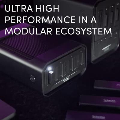 SanDisk Professional SSD Pro Blade Station 0TB