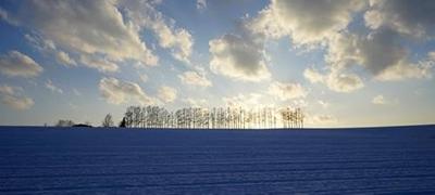 Sony FE 16-35mm F/4.0 ZA OSS Vario-Tessar T*