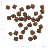 Wolfsblut - Wild Duck Puppy - 15 kg - eend - droogvoer - hondenvoer - graanvrij - thumbnail