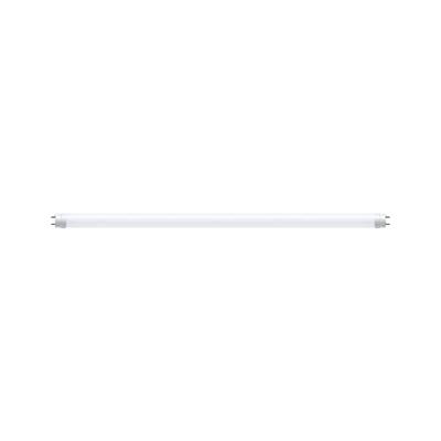 Paulmann LED-buis-Buis Energielabel: F (A - G) G13 9.5 W Daglichtwit 1 stuk(s) (Ø) 28 mm - thumbnail
