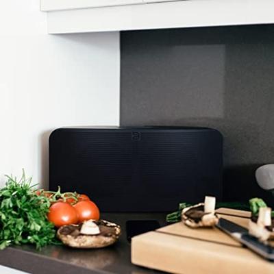 Bluesound Pulse 2i draadloze speaker zwart