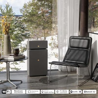 Audio Pro Drumfire II Smart Multiroom Wifi speaker Grijs - thumbnail
