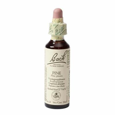 Bach Flower Remedies Den 24