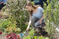 GARDENA Combisystem handhark schoffel - thumbnail