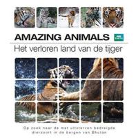 Amazing Animals - Het Verloren Land Van De Tijger (Blu-ray) - thumbnail