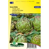 Artisjokken zaden Vert de Provence - thumbnail
