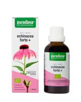 Purasana Echinacea Forte+ Druppels - thumbnail