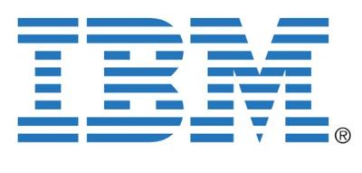 IBM 95P4450 800GB extern