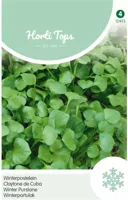 Zaden Winter Postelein Hortitops - Hortitops - thumbnail