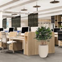 Ficus Audrey kunstplant 100cm - thumbnail