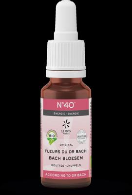 Bach bloesems mengeling 40 energie bio