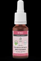 Bach bloesems mengeling 40 energie bio - thumbnail