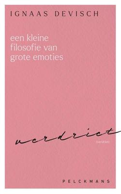 Een kleine filosofie van grote emoties: Verdriet - Ignaas Devisch - ebook