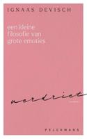Een kleine filosofie van grote emoties: Verdriet - Ignaas Devisch - ebook - thumbnail