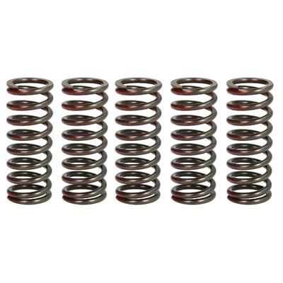 TRW koppelingsveren set clutch spring kit mef327-5