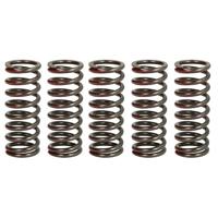 TRW koppelingsveren set clutch spring kit mef327-5 - thumbnail