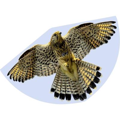 Günther Flugspiele Eenlijns Vlieger Valk Spanwijdte 920 mm Geschikt voor windsterkte 3 - 6 bft Günther Flugspiele Eenlijns Vlieger Valk Spanwijdte 920 mm Geschikt voor windsterkte 3 - 6 bft