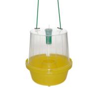 MC PHAILVAL | (kersen)vliegenval zonder feromonen - thumbnail