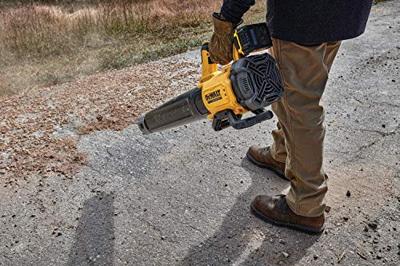 DeWALT DCMBL562P1 Accu bladblazer 18V XR 5.0Ah - thumbnail
