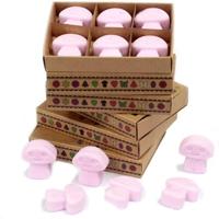 Ylang Ylang Set van 6 Waxmelts - thumbnail