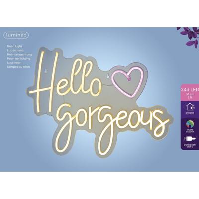 Ledbord lumineo indoor usb neon hello gorgeous