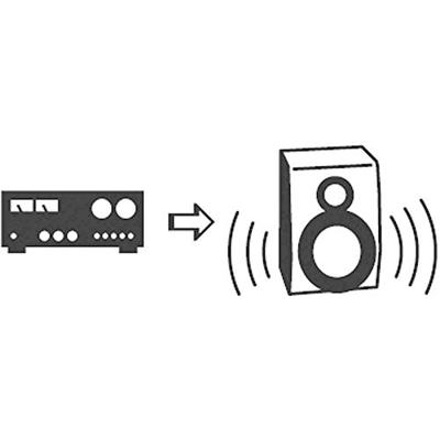 SpeaKa Professional SP-7869924 Cinch Audio Y-adapter [2x Cinch-stekker - 1x Cinch-koppeling] Zwart