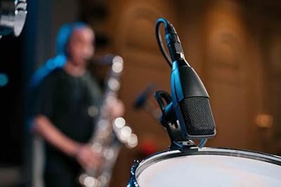 Sennheiser MD 421 Kompakt dynamische instrumentmicrofoon