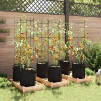 Tomatenkooien met plantenzak 6 st 154 cm staal en polypropeen - thumbnail