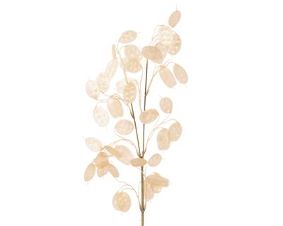 Decoratietak Parel 76cm