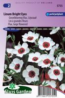 Linum Grandiflorum zaden Bright Eyes vlas - thumbnail