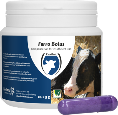 Ferro Bolus C