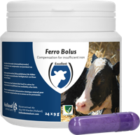 Ferro Bolus C - thumbnail