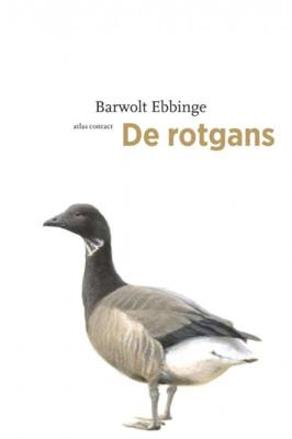 Barwolt Ebbinge De vogelserie 1 De rotgans Barwolt Ebbinge De vogelserie 1 De rotgans