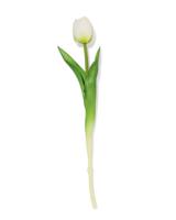 HEMA Kunstbloem 34cm tulp wit - thumbnail