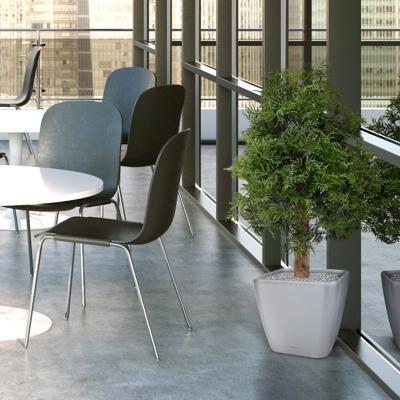 Ming Aralia kunstplant 90cm - UV bestendig